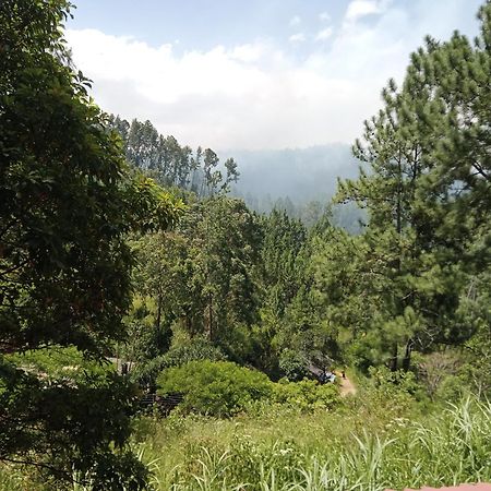 New Rose Villa Bandarawela Ella Esterno foto