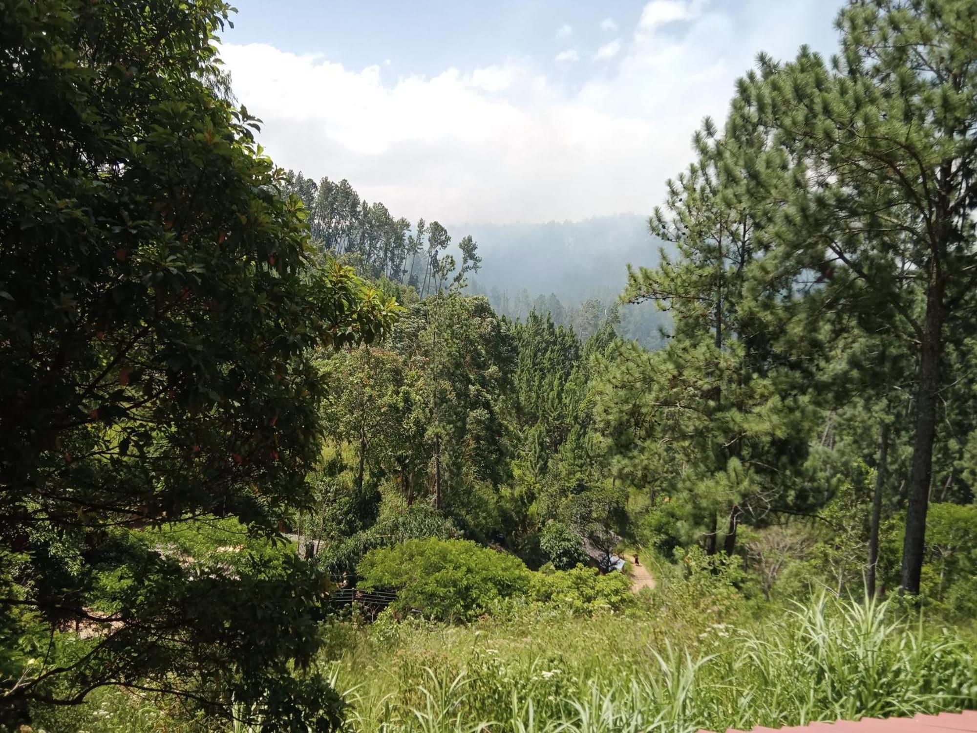 New Rose Villa Bandarawela Ella Esterno foto