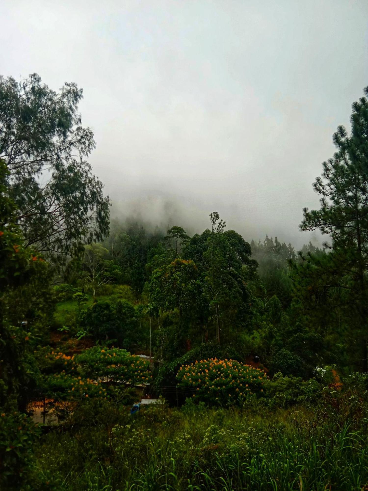 New Rose Villa Bandarawela Ella Esterno foto