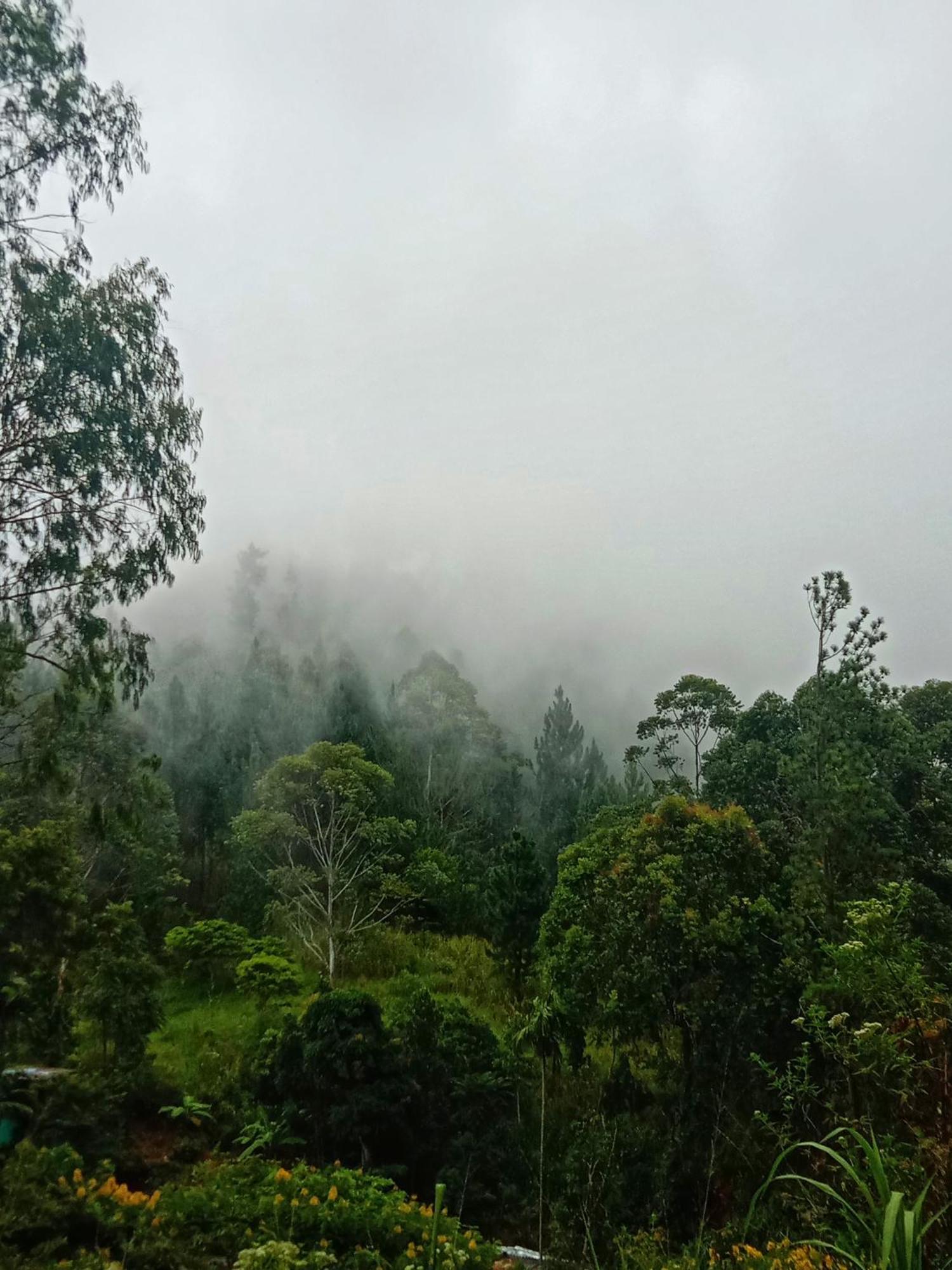 New Rose Villa Bandarawela Ella Esterno foto