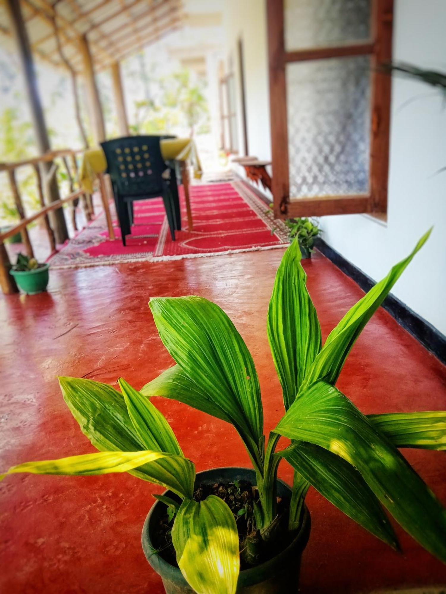 New Rose Villa Bandarawela Ella Esterno foto