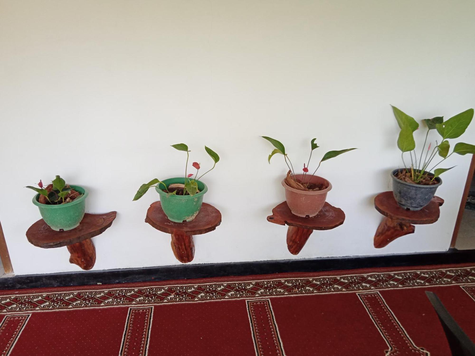 New Rose Villa Bandarawela Ella Esterno foto