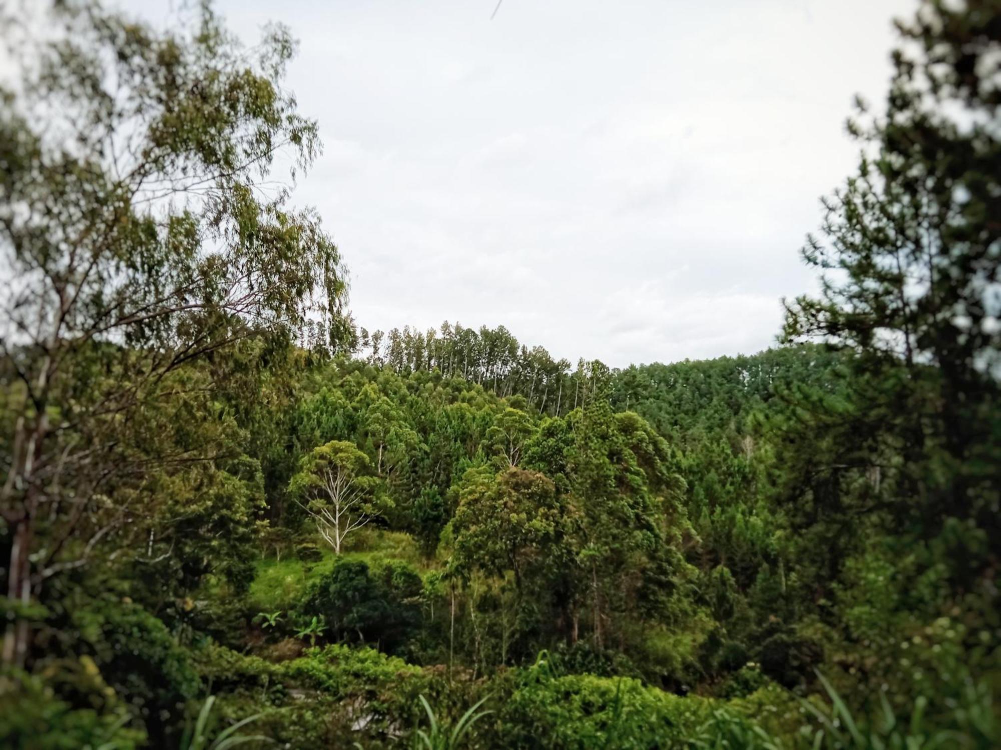 New Rose Villa Bandarawela Ella Esterno foto