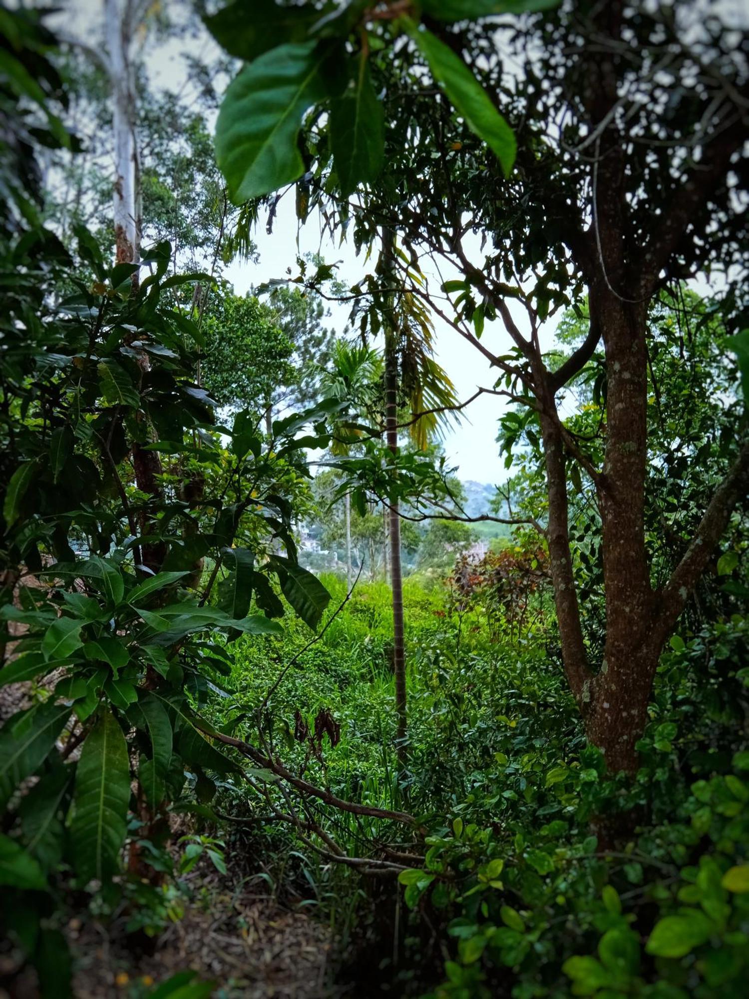 New Rose Villa Bandarawela Ella Esterno foto