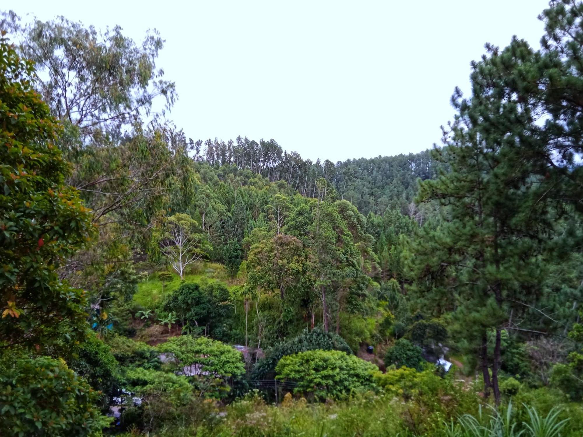 New Rose Villa Bandarawela Ella Esterno foto