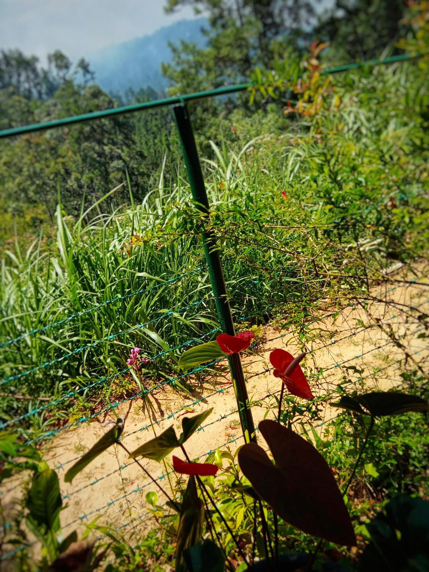 New Rose Villa Bandarawela Ella Esterno foto