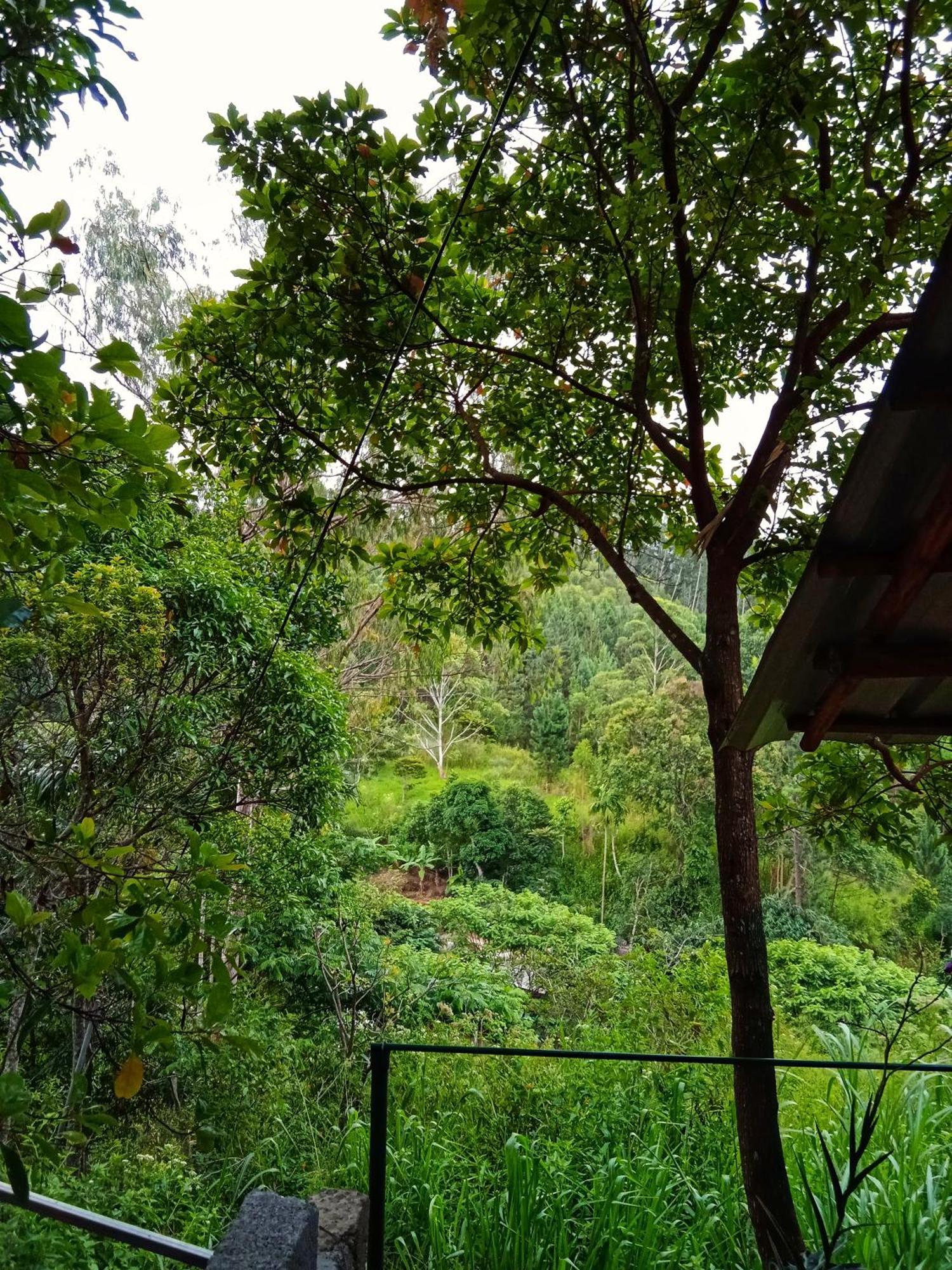 New Rose Villa Bandarawela Ella Esterno foto